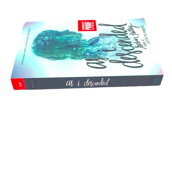 As I Descended by Robin Talley - Picture 3 of 6